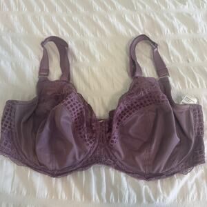 Purple Fantasie T-Shirt Bra Size 36H